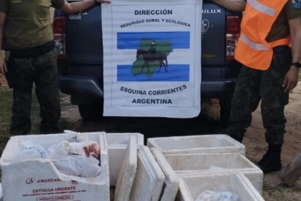 Decomisan carne transportada ilegalmente en Esquina, Corrientes
