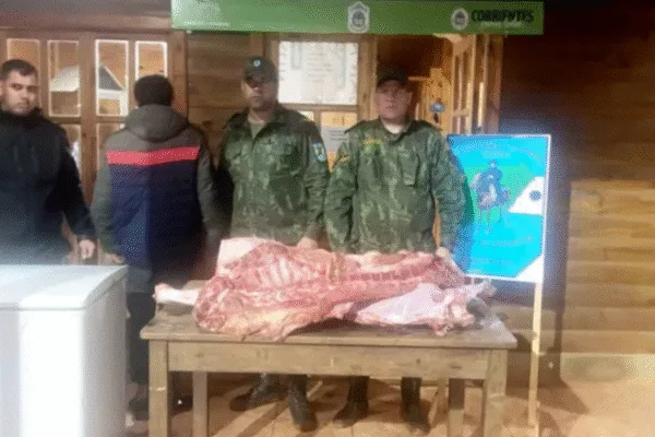 La Policía de Corrientes desactivó una célula de cuatreros en Virasoro