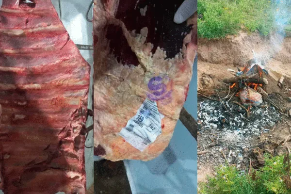 La Dirección de Bromatología, Higiene y Comercio de Esquina decomisó más de 38 kilos de carne en mal estado
