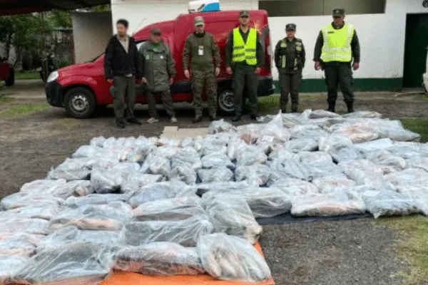 Corrientes: Gendarmería decomisó 950 kilos de pescados transportados de forma ilegal