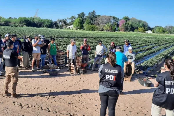 Rescatan a 42 trabajadores rurales víctimas de explotación laboral en Santa Fe