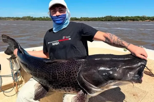 Pescadores de Concordia capturaron un surubí negro de 45 kilos en el río Uruguay