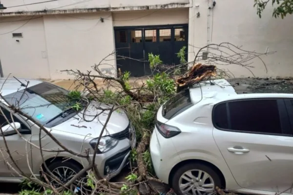 Fuerte temporal de viento y granizo azotó el norte de Corrientes